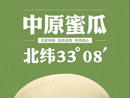 中原蜜瓜宝贝详情3