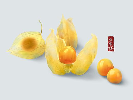 PS板绘|水果练习（六）·姑娘果