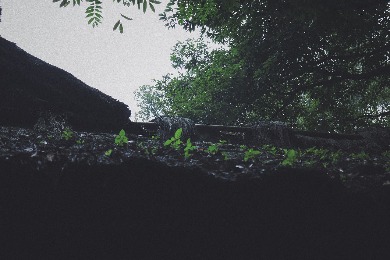 成都 成都（图ZMTgwNTAwNDYw） - 人文/纪实摄影 - 站酷设计师是进击的脸猫呀原创素材 - 站酷ZCOOL