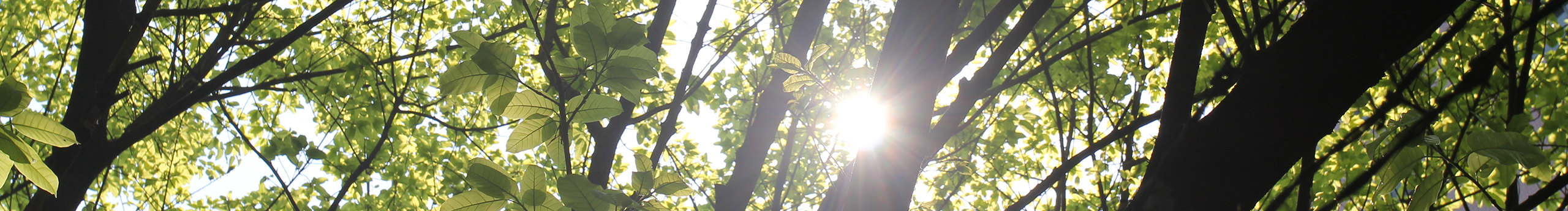 极客羊工作室的个人主页（封面预览） - 主页封面设置 - 站酷设计师极客羊工作室原创素材 - 站酷ZCOOL