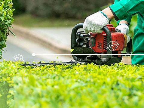 个人作品-形象海报（个人主页-ZNDIzNDc5OTY=） - 海报 - 站酷设计师喇叭芽原创素材 - 站酷ZCOOL