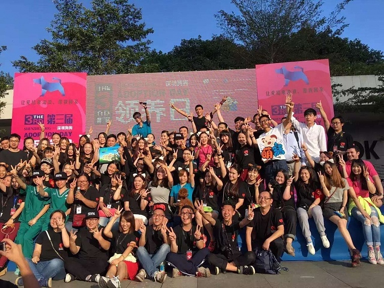 深圳市第三届狗狗领养日 视觉设计（图ZNjM4NDk1NzI=） - 图案 - 站酷设计师一颗大牙原创素材 - 站酷ZCOOL