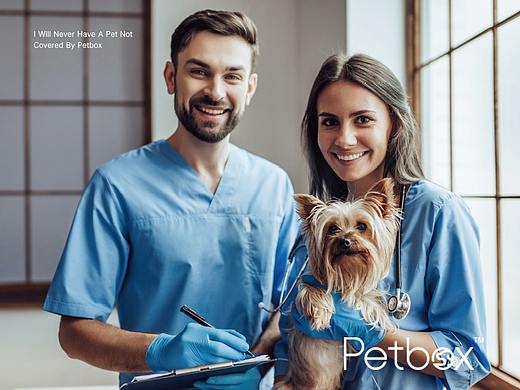 【画册】Petbox宠物医保画册