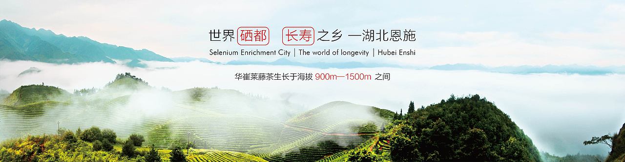 网站banner图（图ZMTEwODI4MzYw） - 企业官网 - 站酷设计师cxw917075805原创素材 - 站酷ZCOOL