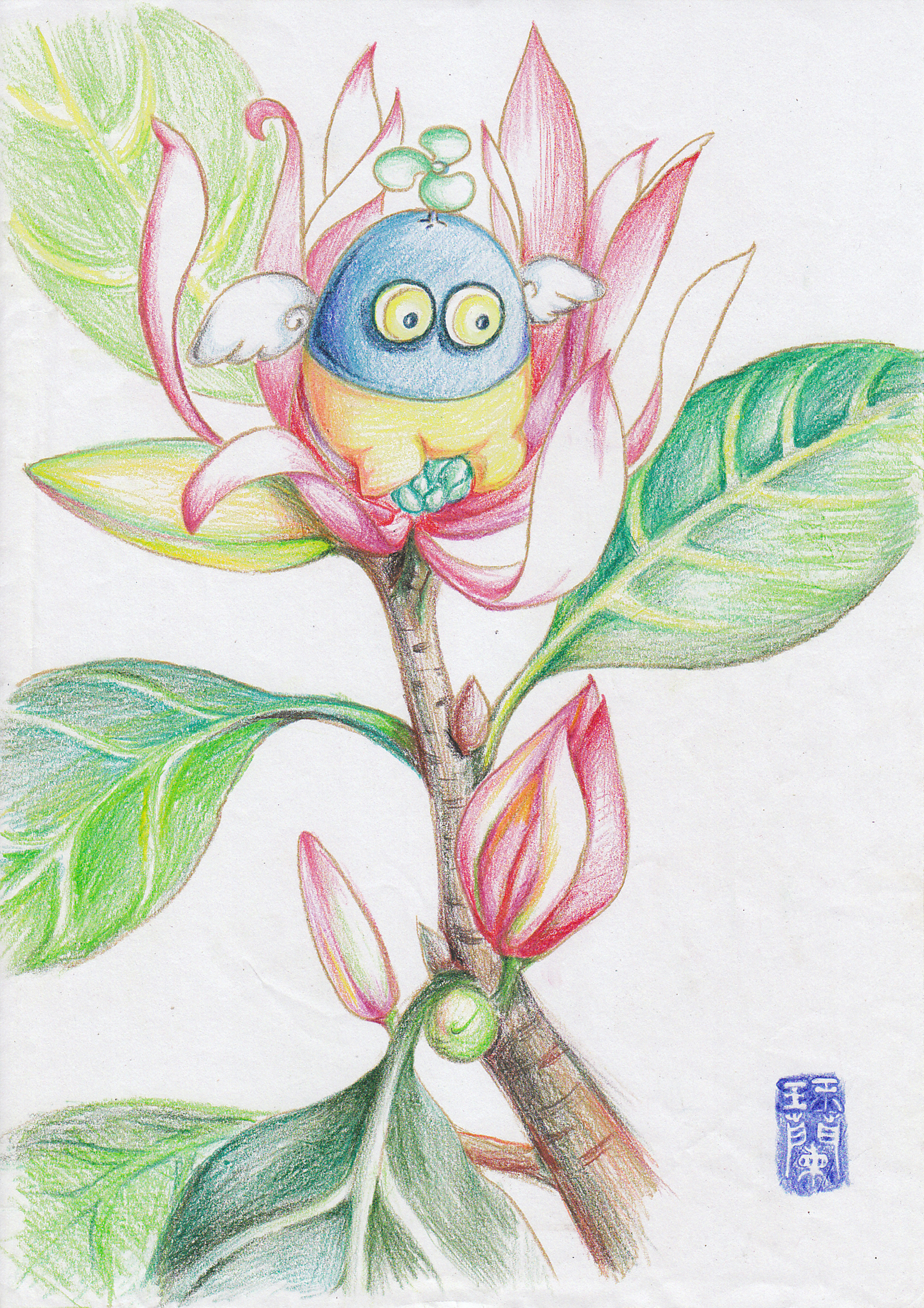 彩色铅笔手绘画 ---花 3|插画|创作习作|在路上的zhu - 原创作品 - 站酷 (ZCOOL)