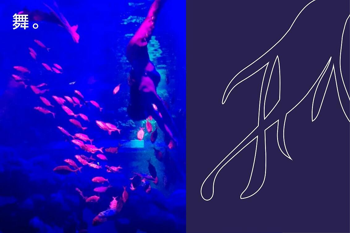 上海海昌海洋馆提案（图ZMTA2NTE3Nzcy） - 品牌 - 站酷设计师T中国青年H原创素材 - 站酷ZCOOL