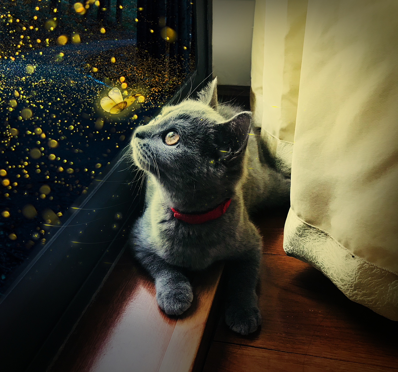 小蓝猫简修（图ZMTc1MDQwMDIw） - 修图/后期 - 站酷设计师见习插画师原创素材 - 站酷ZCOOL