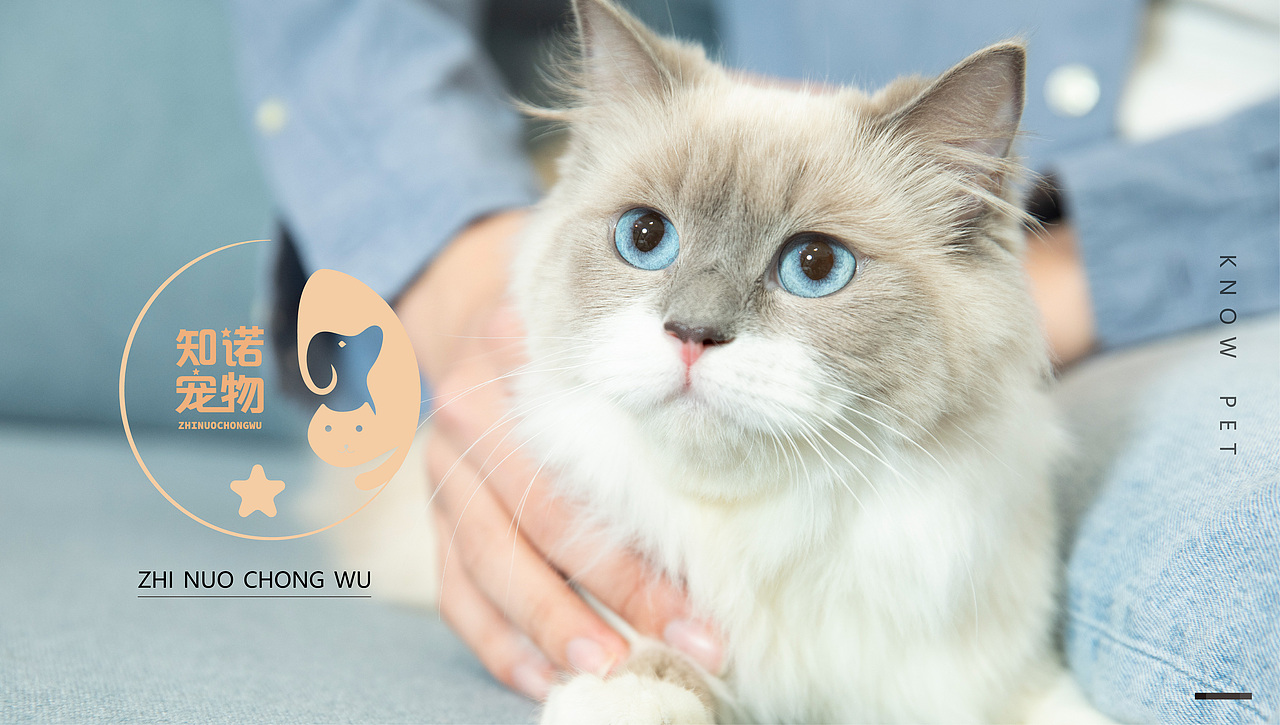 知诺宠物VI