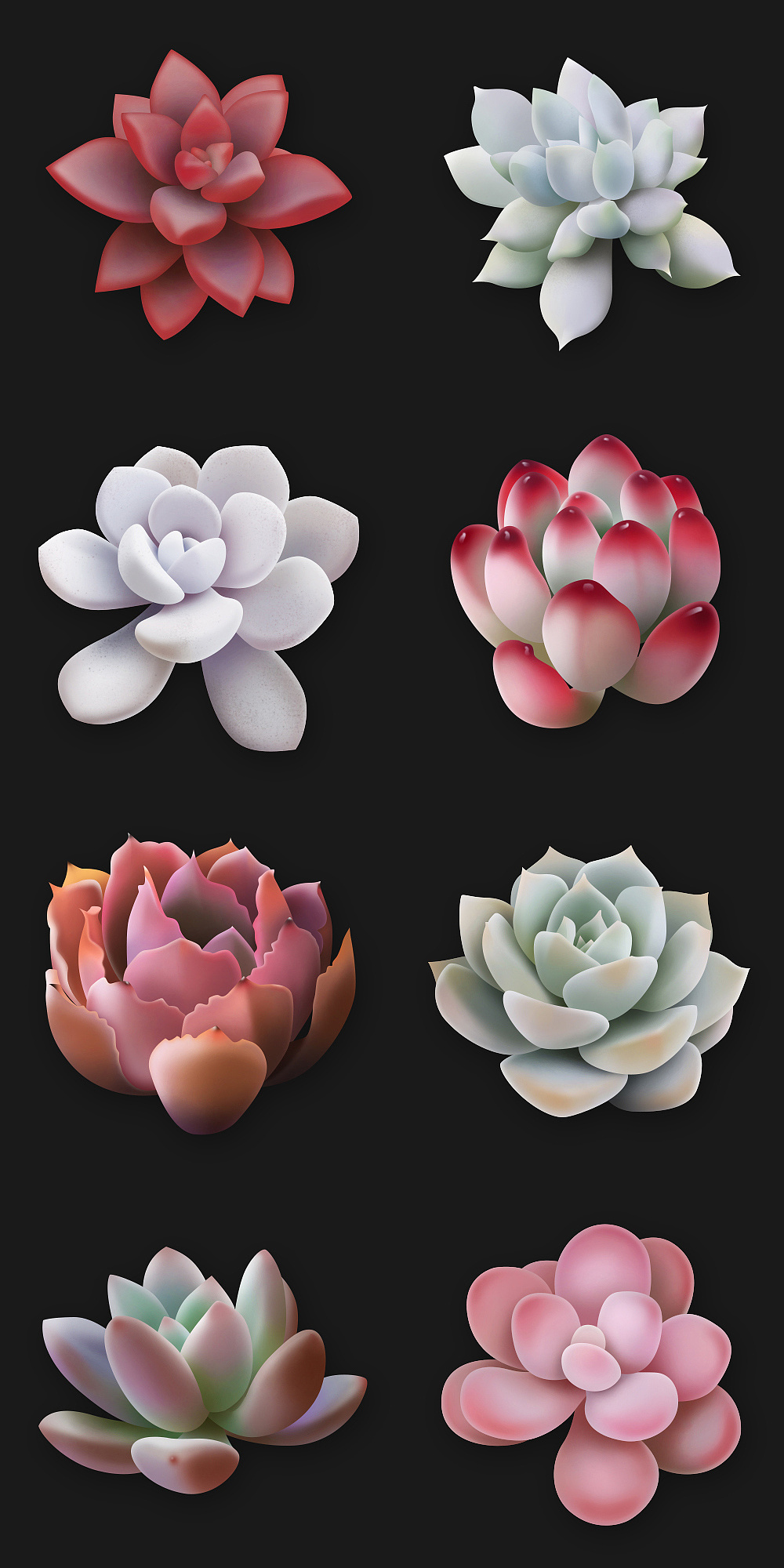 ps鼠标绘画多肉植物