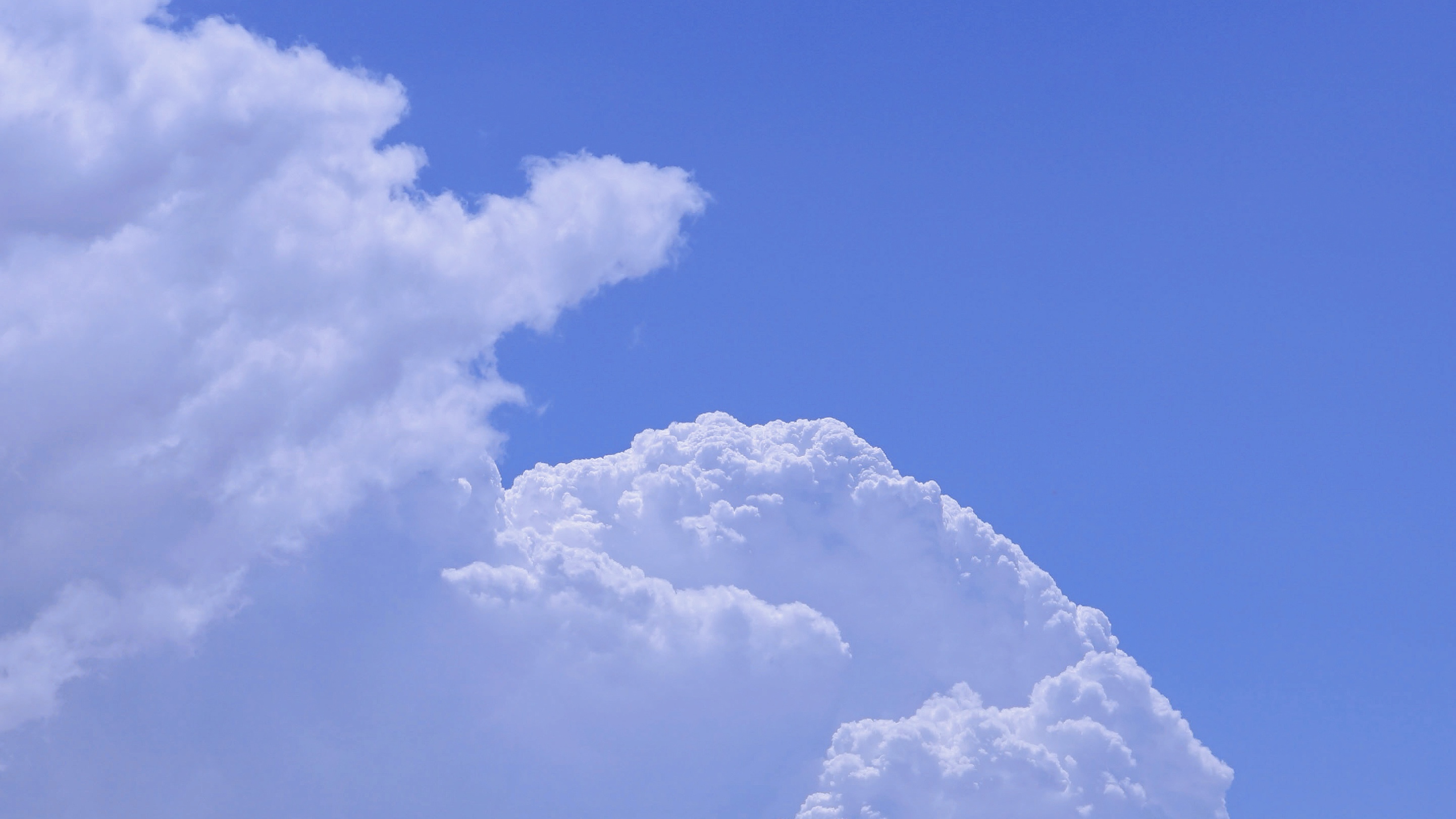 克莉斯陈的个人主页（封面预览） - 主页封面设置 - 站酷设计师克莉斯陈原创素材 - 站酷ZCOOL