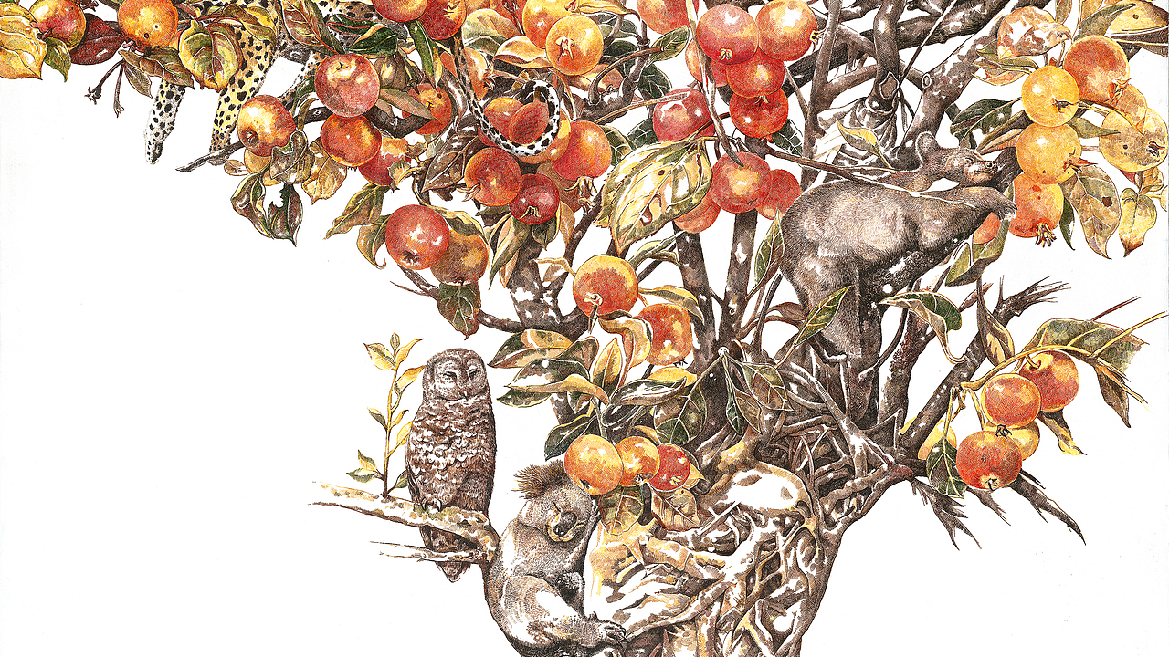 《醉秋实》之二（图ZMzY5MjI3MTU2） - 艺术插画 - 站酷设计师赵娜Artist原创素材 - 站酷ZCOOL