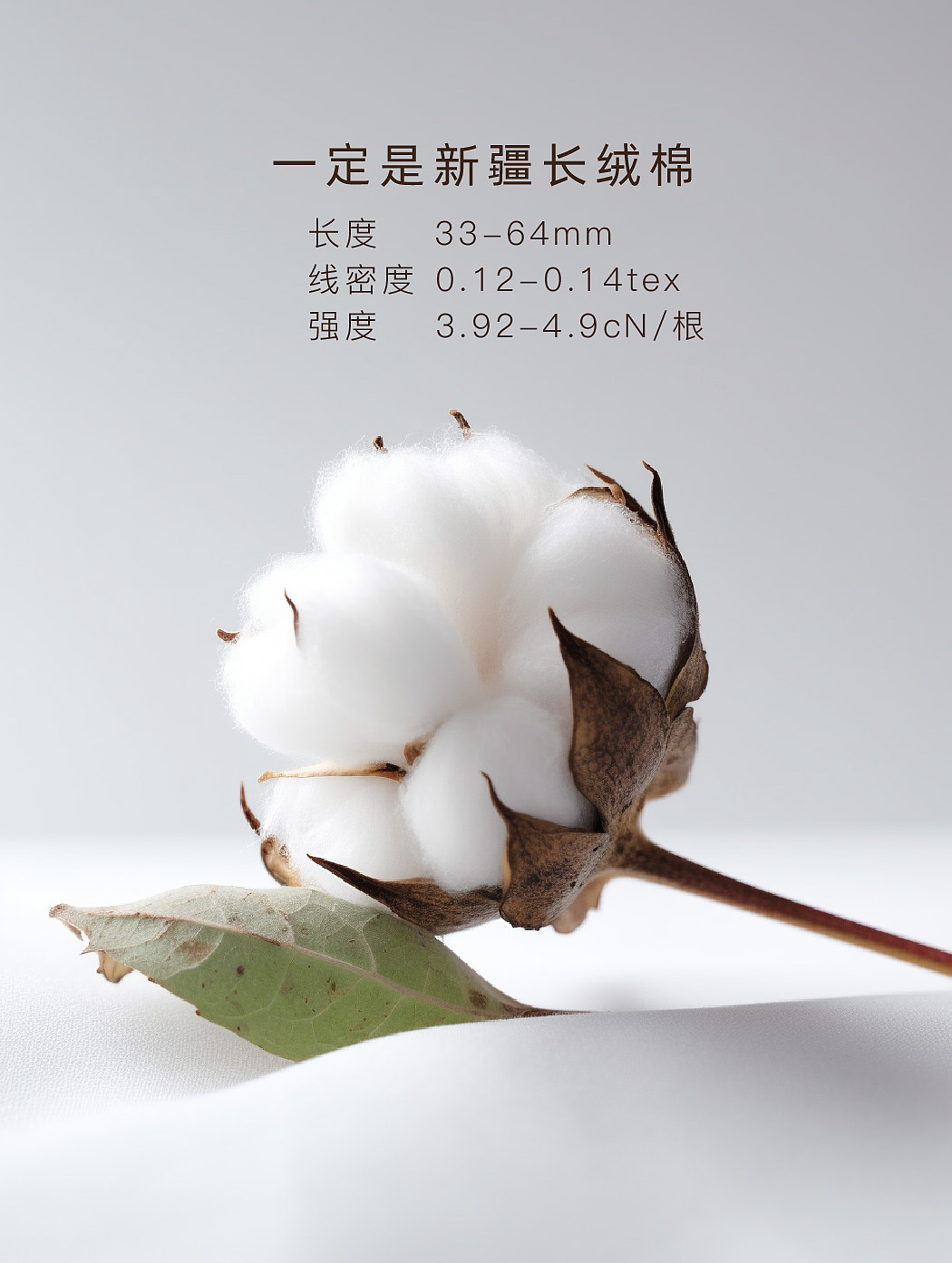 小白T 详情页（全用midjourney生成）