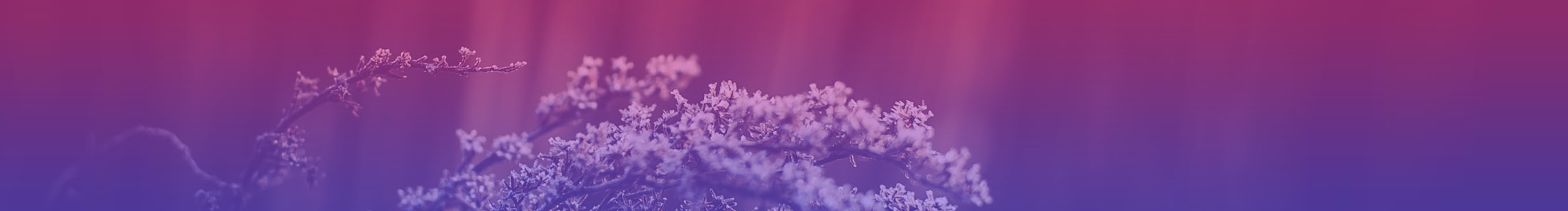 峰峰峰Lee的個人主頁（封面預(yù)覽） - 主頁封面設(shè)置 - 站酷設(shè)計(jì)師峰峰峰Lee原創(chuàng)素材 - 站酷ZCOOL