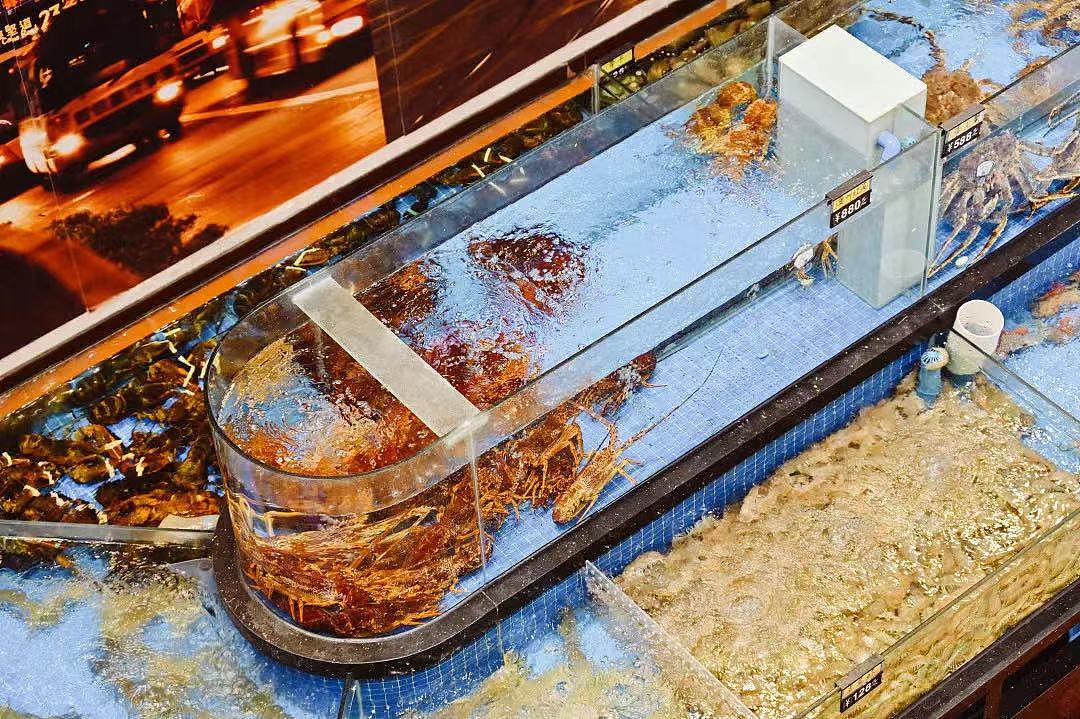 又异 | 超级海鲜市场—鹏运鸿港全案设计 