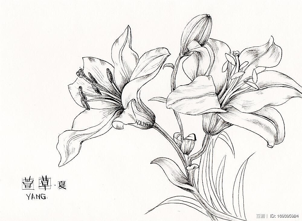 画过的部分春夏秋冬的花