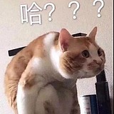 洛兮酱的头像