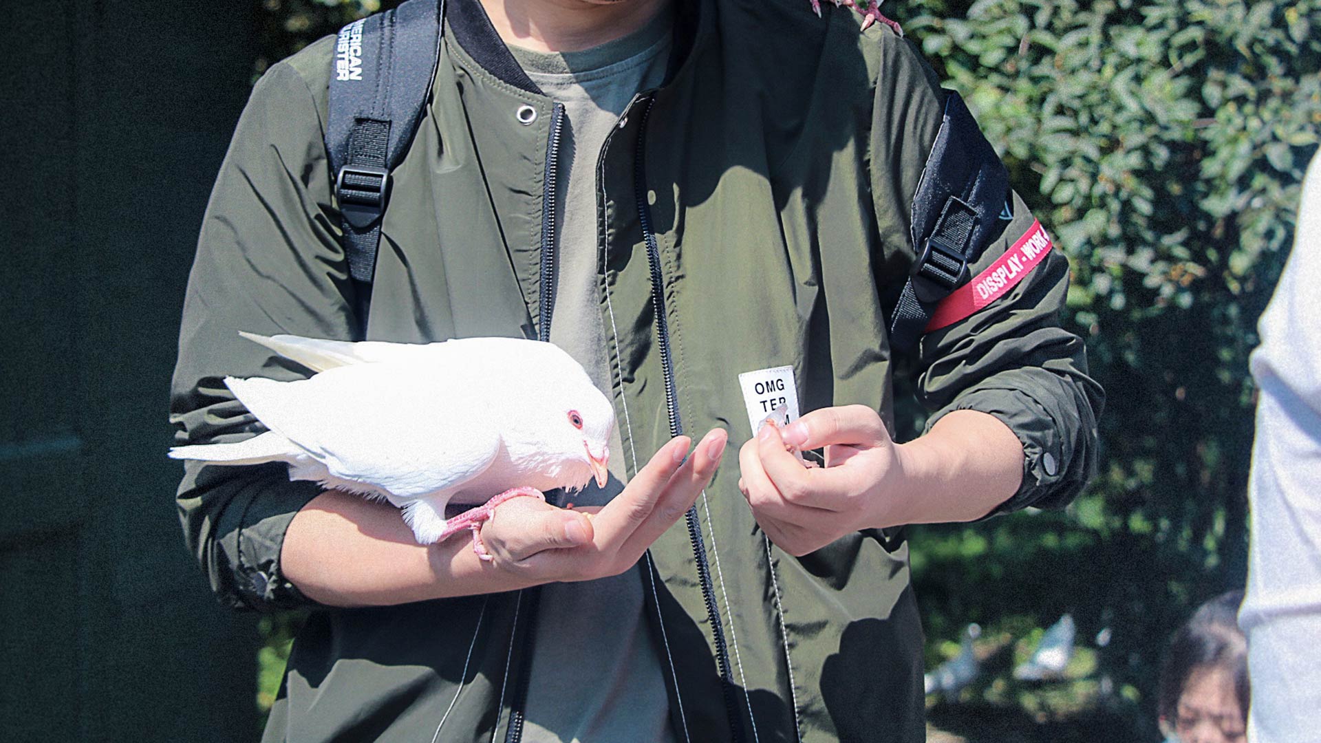 天不早了的個人主頁（背景預(yù)覽） - 主頁背景設(shè)置 - 站酷設(shè)計(jì)師天不早了原創(chuàng)素材 - 站酷ZCOOL