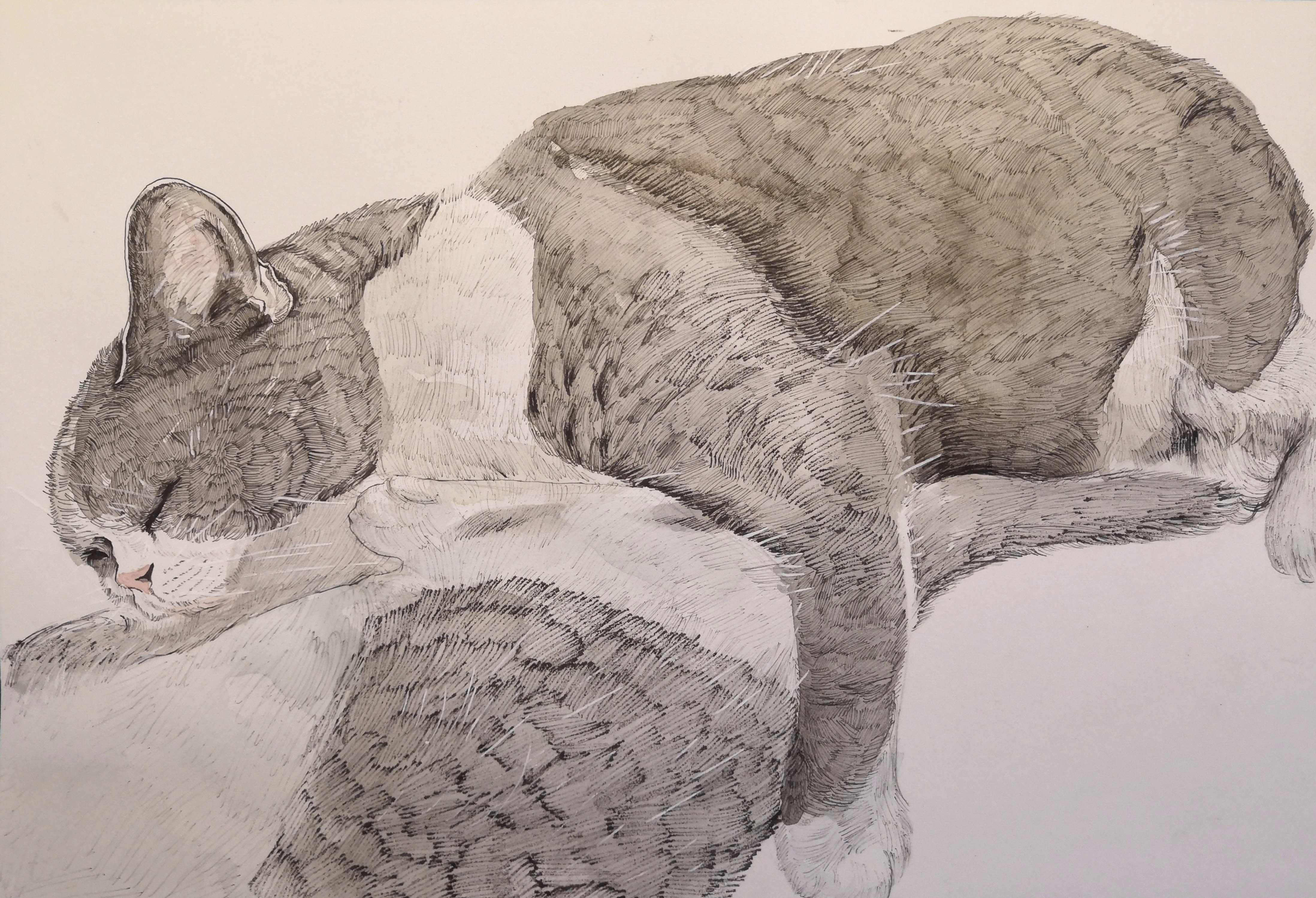 我是零伊的個人主頁（封面預覽） - 主頁封面設置 - 站酷設計師我是零伊原創(chuàng)素材 - 站酷ZCOOL