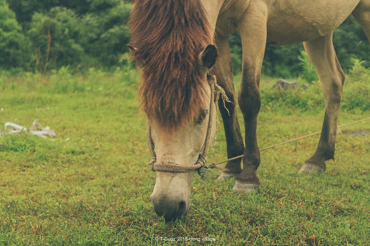 摄影游记-徽州古镇西递宏村（图ZMTMzODYyNDQ4） - 环境/建筑摄影 - 站酷设计师T_Groz果子原创素材 - 站酷ZCOOL