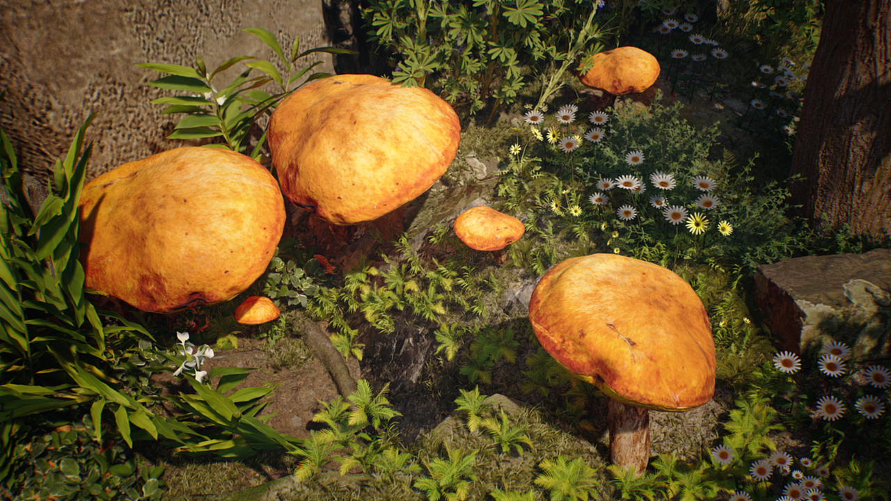 [毕设]生物多样性的平行世界（图ZMjU2ODY3NTA4） - 动画/影视 - 站酷设计师小胖纸你好原创素材 - 站酷ZCOOL