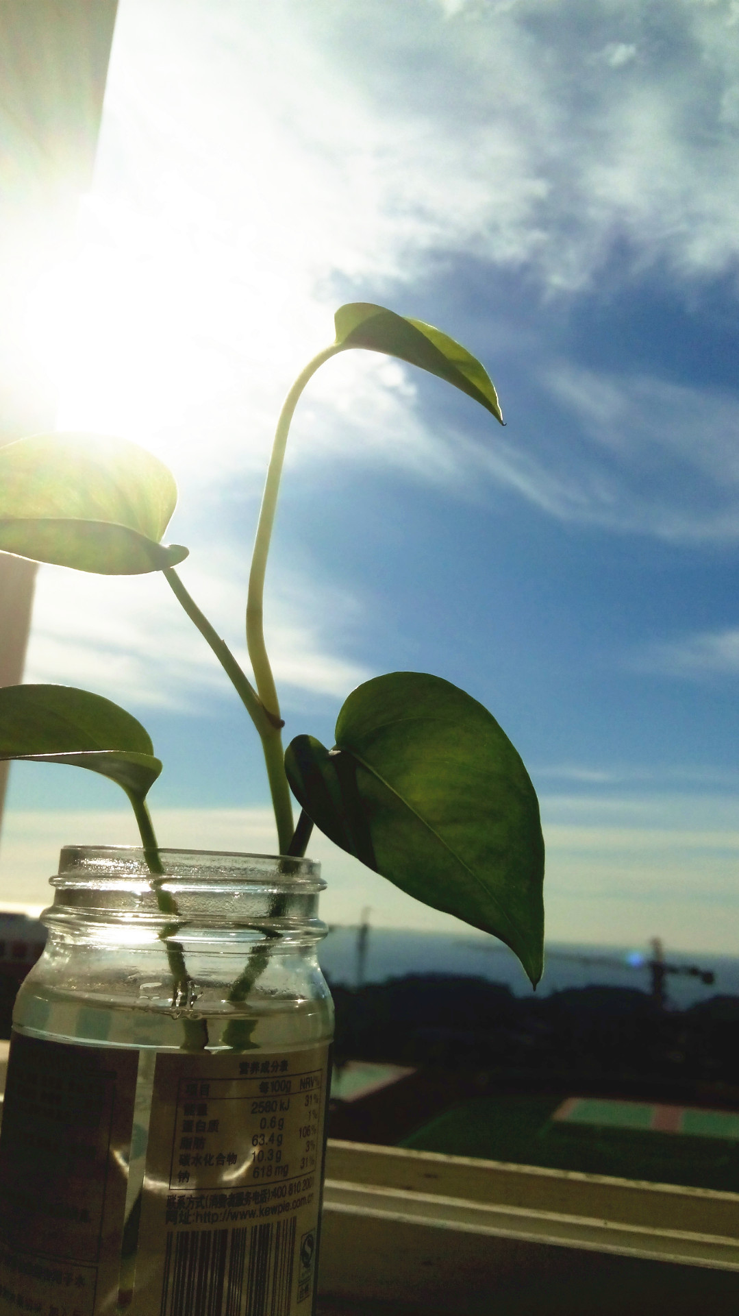 景物照片一组|摄影|风光|destined_d - 原创作品 - 站酷 (zcool)