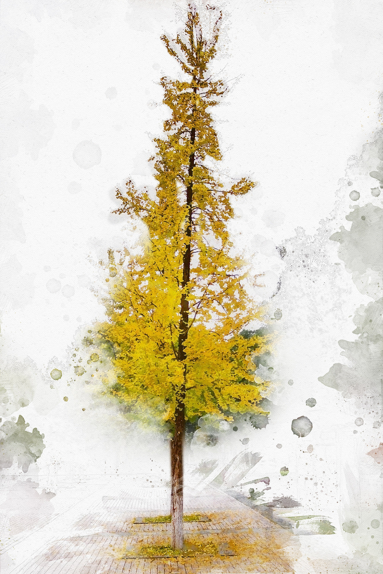 银杏叶·秋日记忆