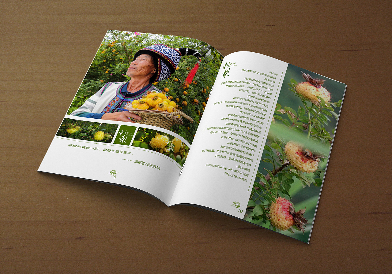 刺梨酒（图ZMTcyMTExNzI0） - 书籍/画册 - 站酷设计师格格巫哇原创素材 - 站酷ZCOOL