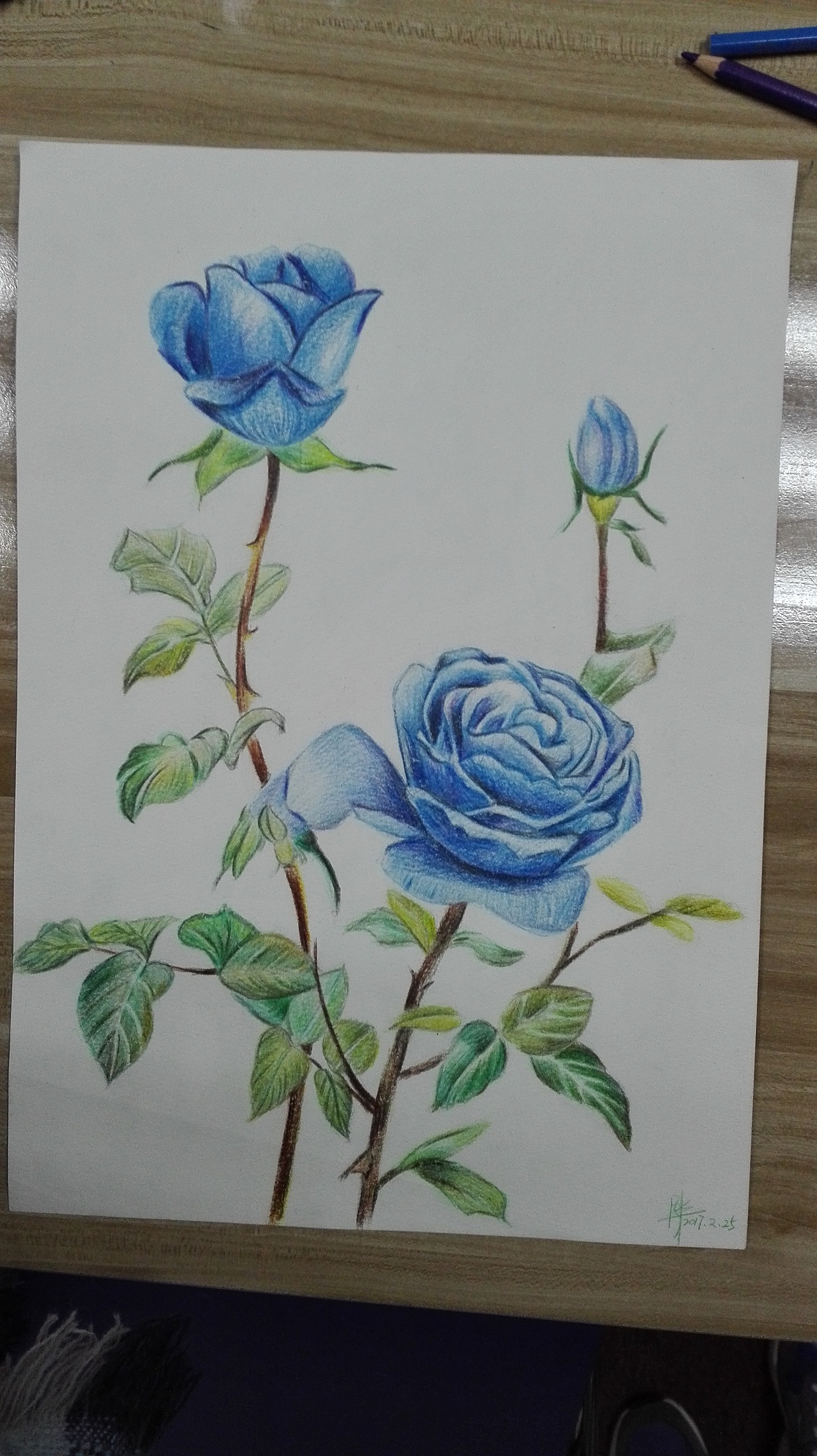 自己的一些绘画临摹练习