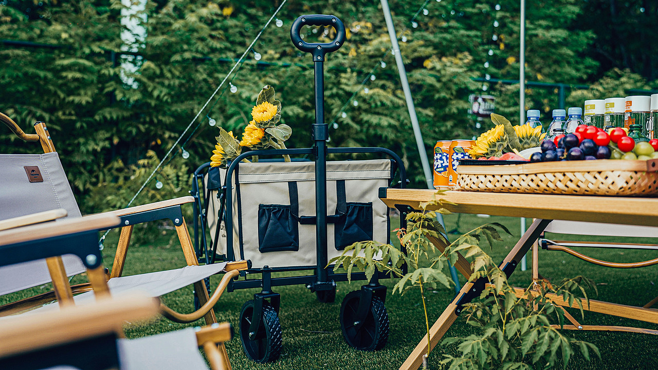 南京绿博园左岸花海露营