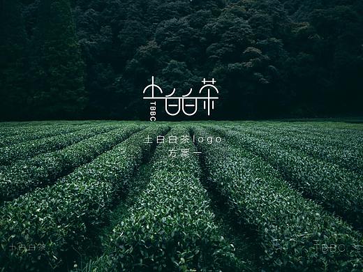 土白白茶logo