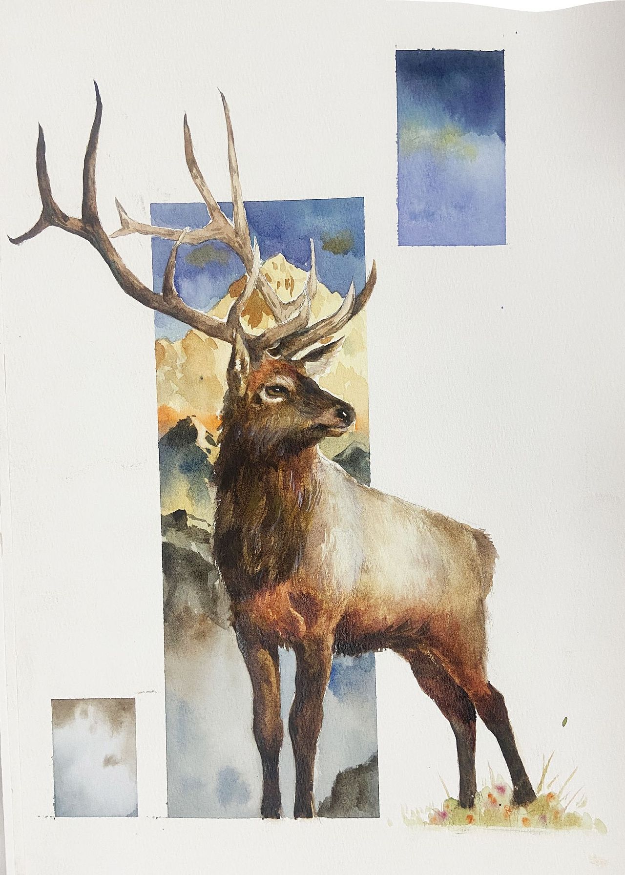 水彩动物合集（图ZMzE3ODAzMDg4） - 绘画 - 站酷设计师半夏插画原创素材 - 站酷ZCOOL