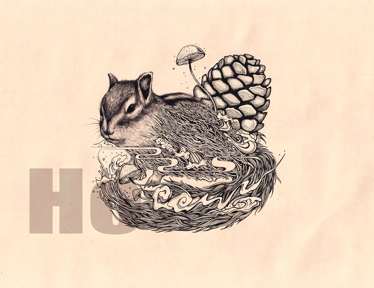 松鼠|插画|创作习作|hoho猴_原创作品-站酷zcool