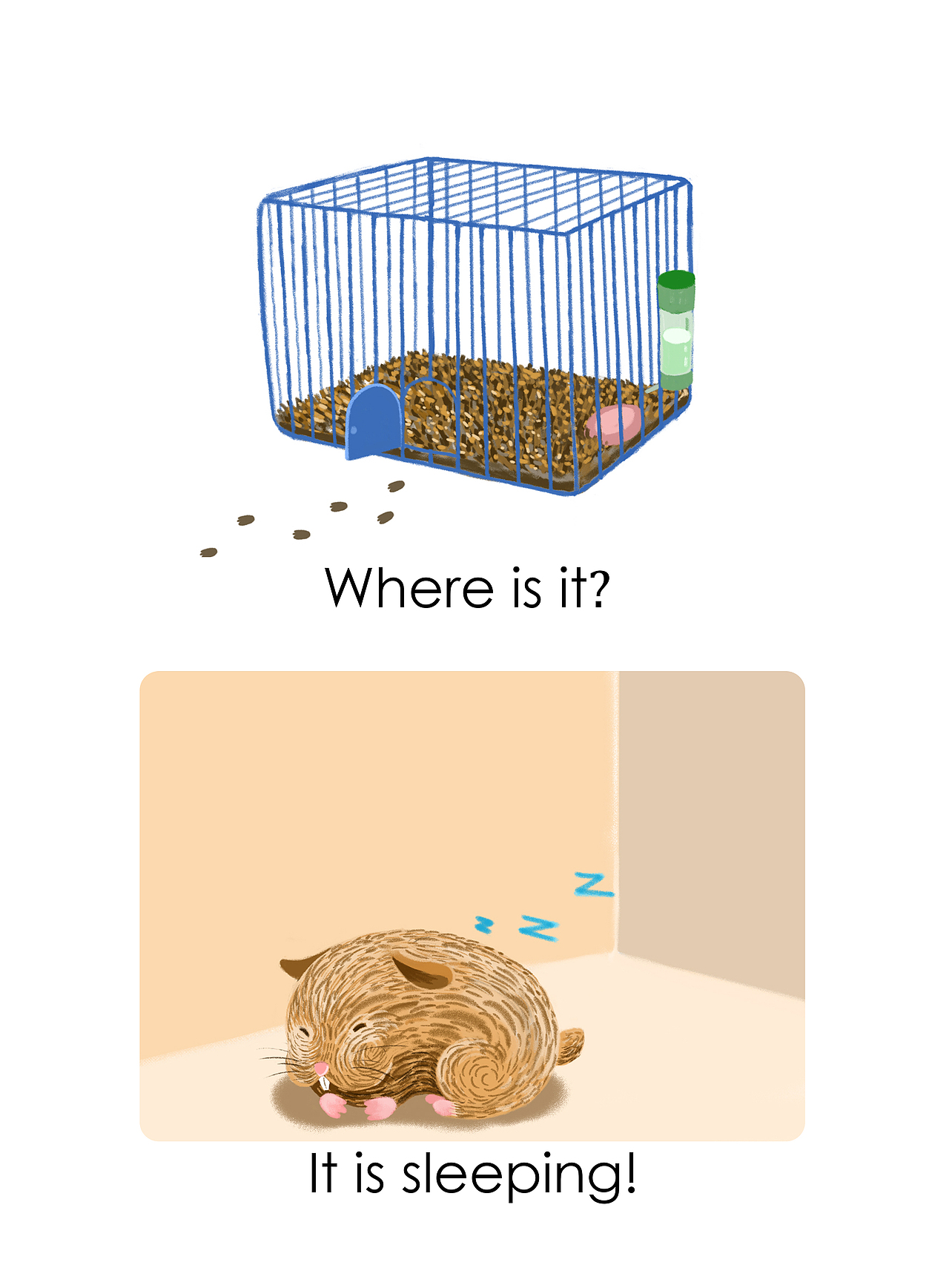 它在那?它在睡觉