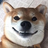 给你一个大棒槌的头像