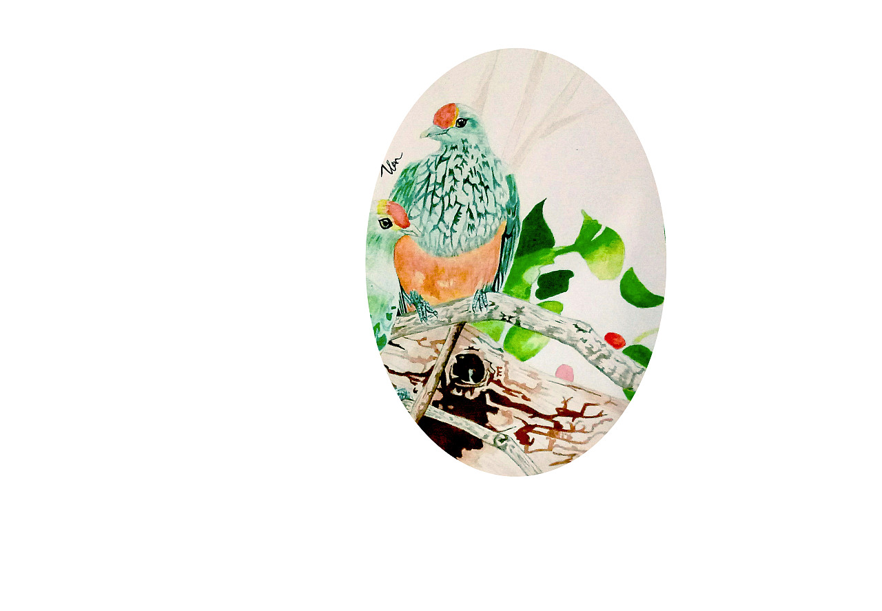 水彩鸟（图ZMTAzNTc0MzE2） - 创作习作 - 站酷设计师VVann原创素材 - 站酷ZCOOL