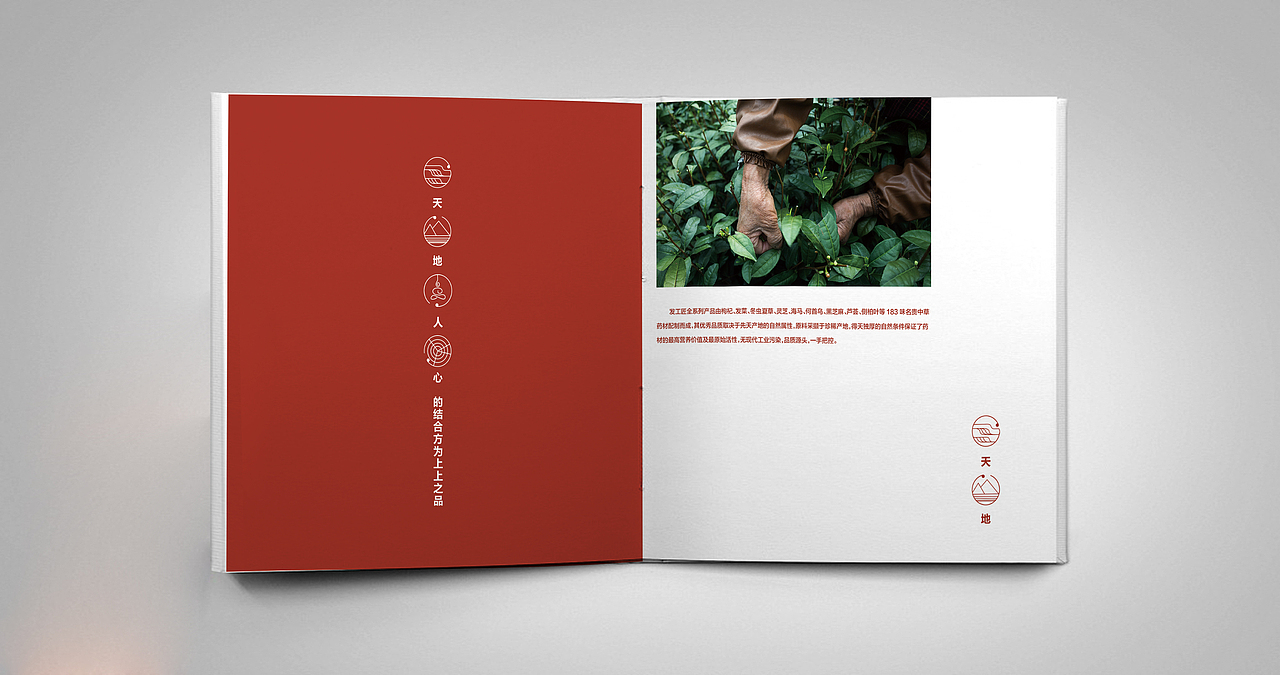 【FGJ】品牌宣传手册