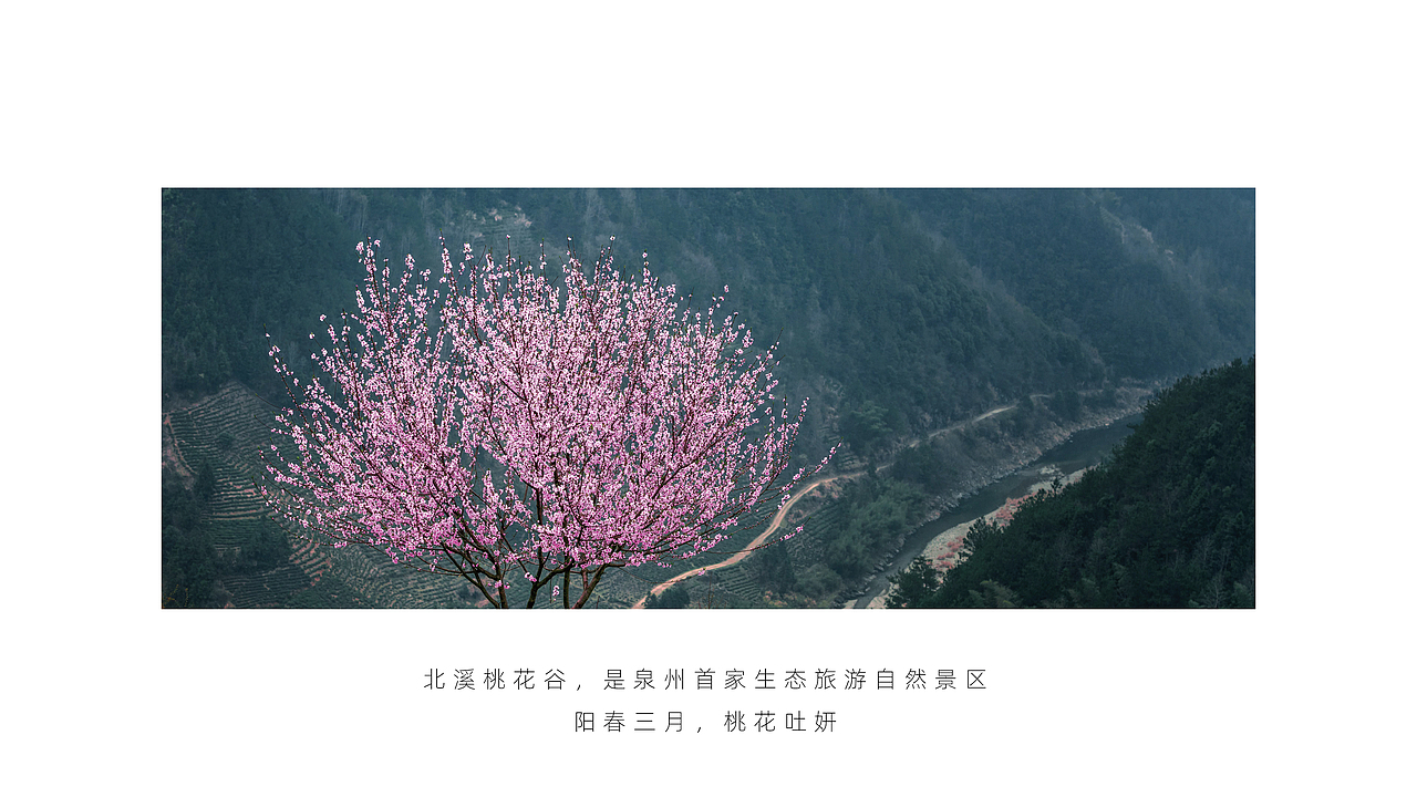 桃花醇-酒包装（图ZMjAzNzE2NTQ4） - 包装 - 站酷设计师Maxzheng原创素材 - 站酷ZCOOL