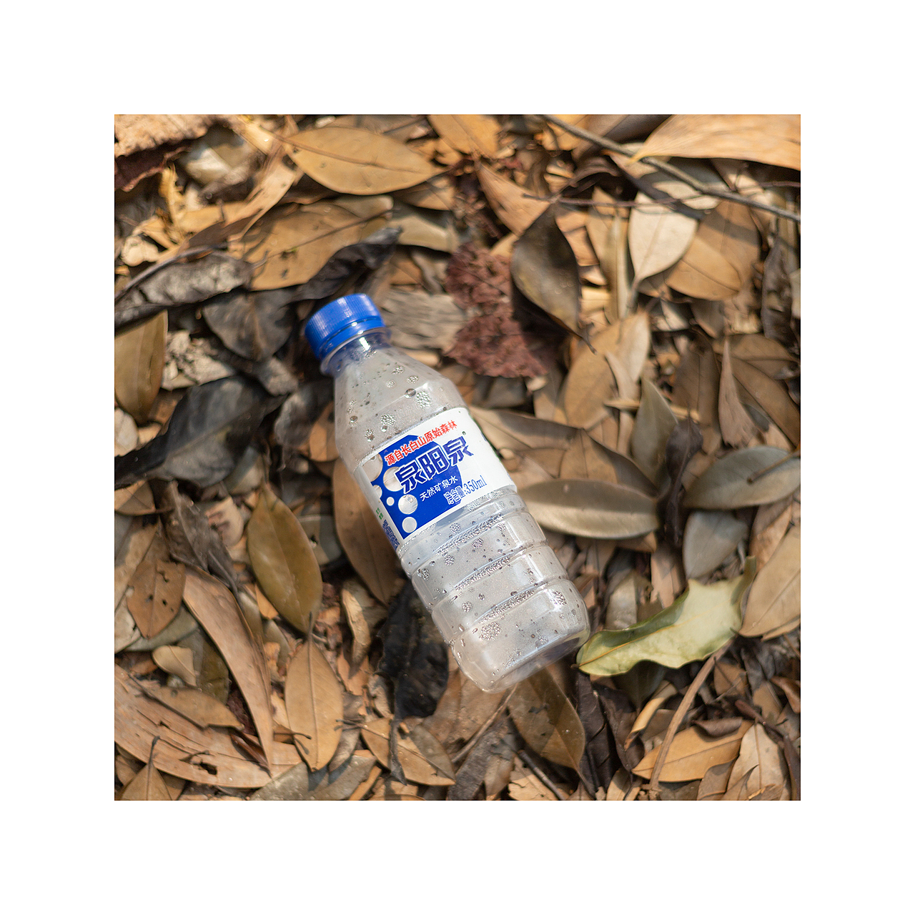 随手拍 | 日常片刻