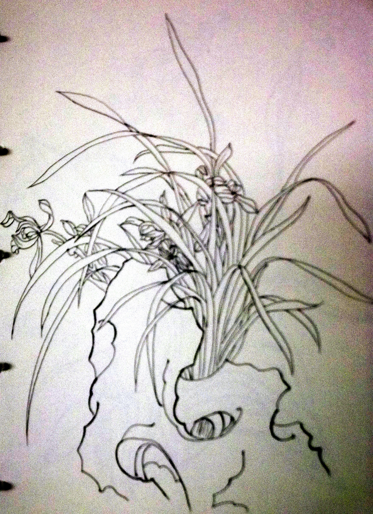 钢笔速写（图ZNTk1NjMyMjA=） - 艺术插画 - 站酷设计师甲甲玲原创素材 - 站酷ZCOOL