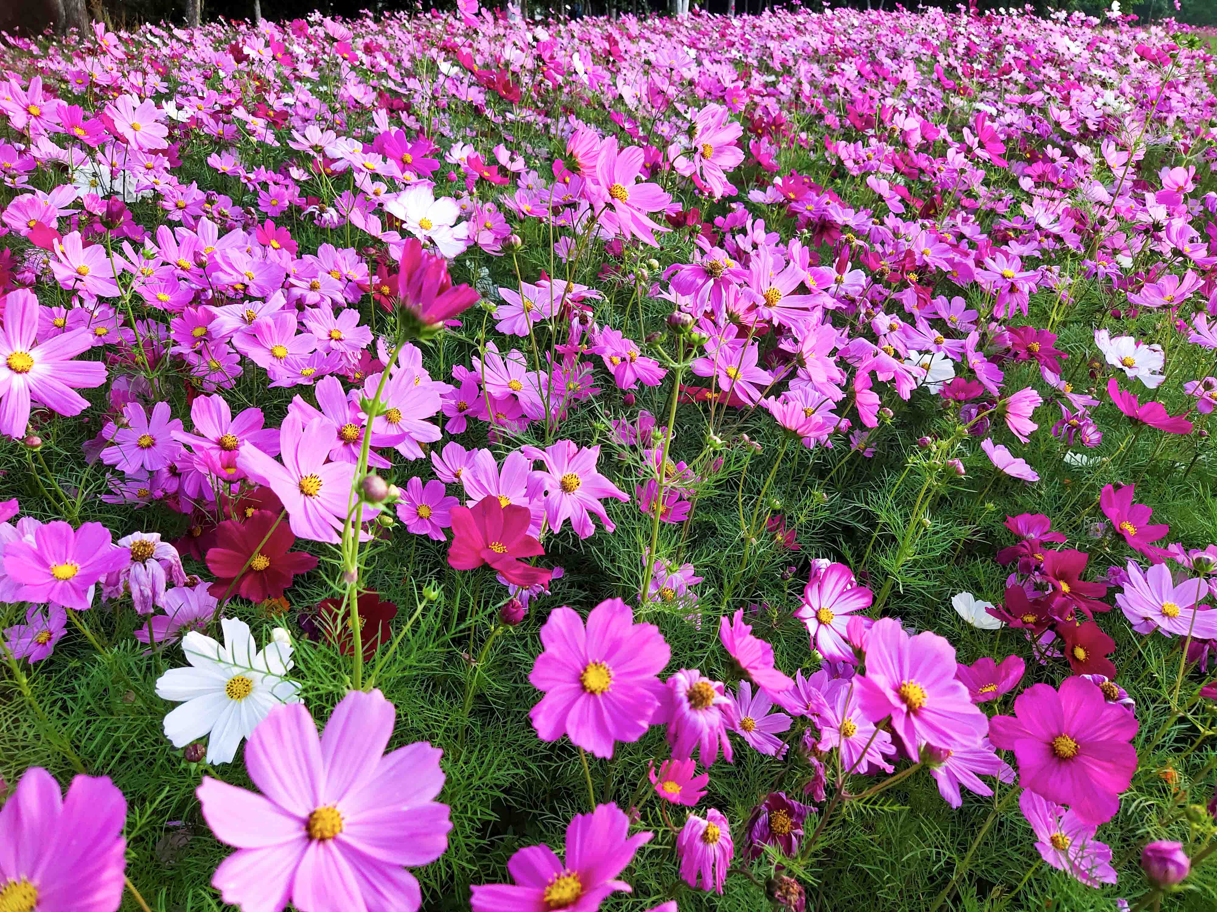 兮羽哟的个人主页（封面预览） - 主页封面设置 - 站酷设计师兮羽哟原创素材 - 站酷ZCOOL