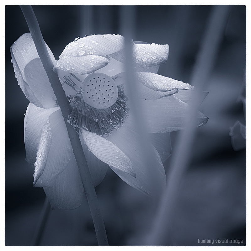 墨色（图ZOTE4MDY3MTI=） - 风光摄影 - 站酷设计师火龙视觉影像原创素材 - 站酷ZCOOL