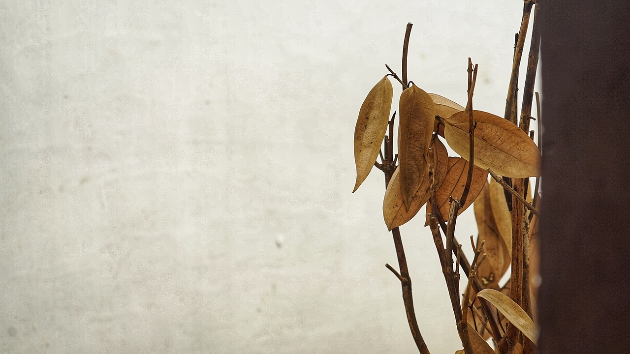 小城景点之徽派建筑[z加油]（图ZMTMxMjY3Mzk2） - 人文/纪实摄影 - 站酷设计师打砸砸原创素材 - 站酷ZCOOL