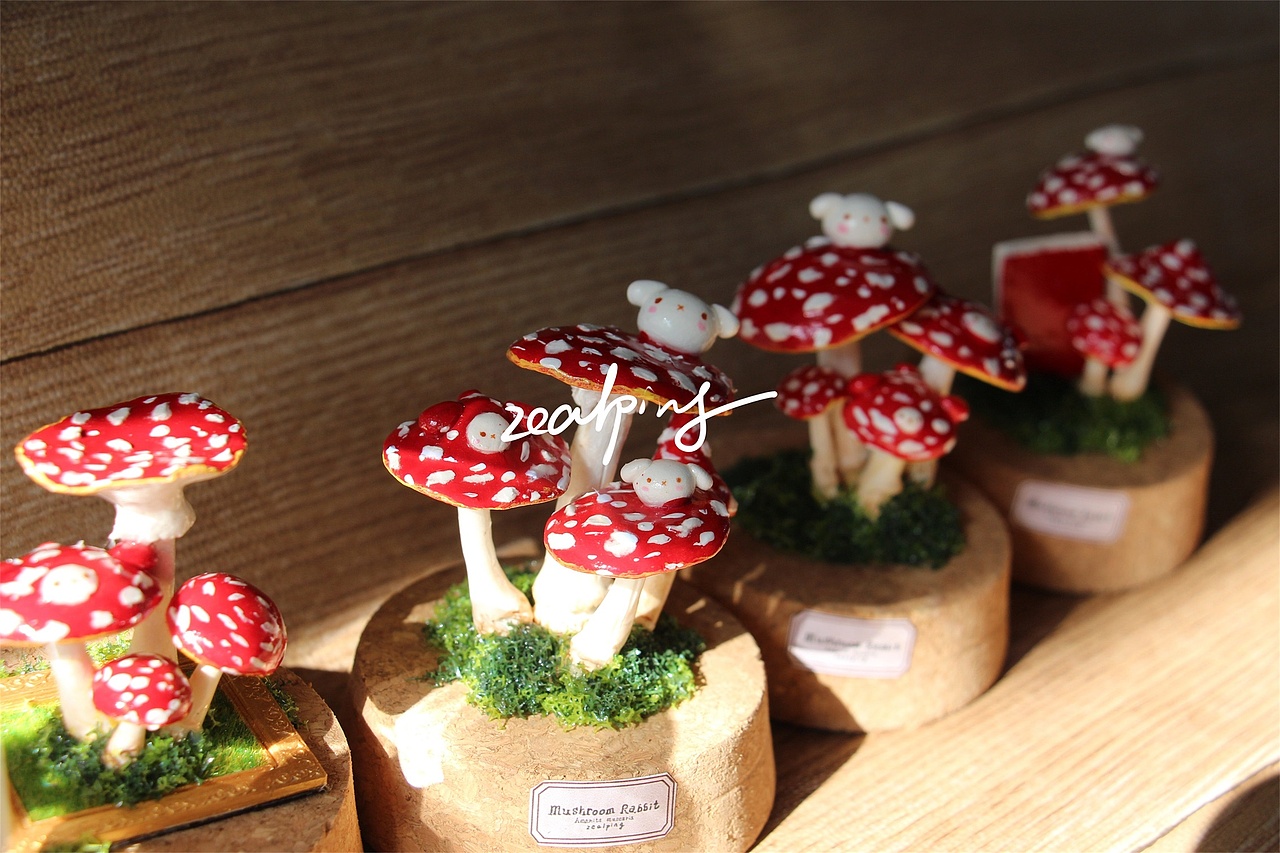 千奇百怪的毒蝇伞 红蘑菇兔系列玻璃罐标本（图ZMjM3ODE1Mjgw） - 其他手工艺 - 站酷设计师zealping原创素材 - 站酷ZCOOL