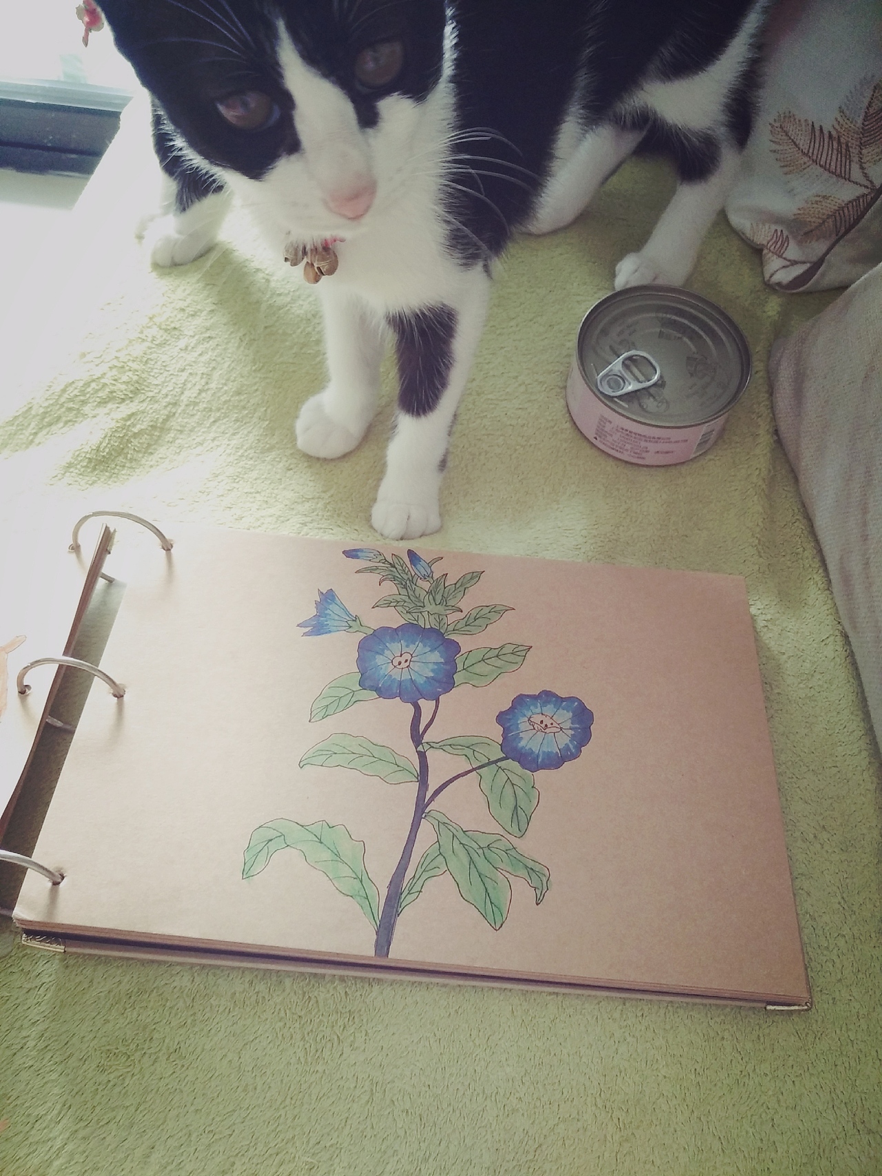 花开无声（图ZOTEzNDk4ODg=） - 艺术插画 - 站酷设计师生生欢颜原创素材 - 站酷ZCOOL