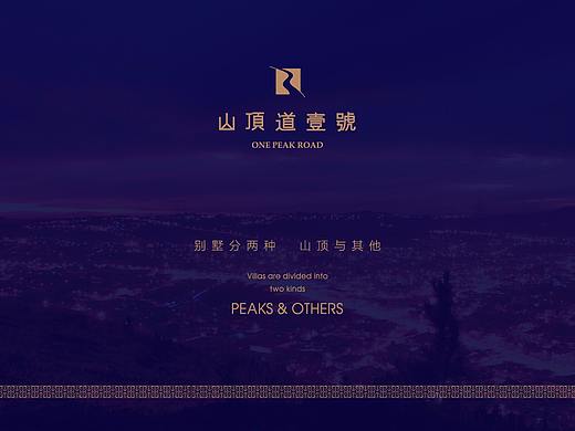 大连《山顶道壹号》地产提案稿及物料