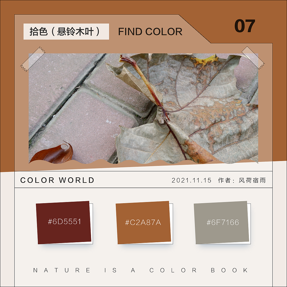 色彩（悬铃木）（图ZMjgyNzQ3MzM2） - 其他 - 站酷设计师风荷宿雨原创素材 - 站酷ZCOOL