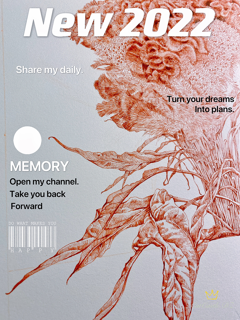 蘸水笔针管笔|鸡冠花