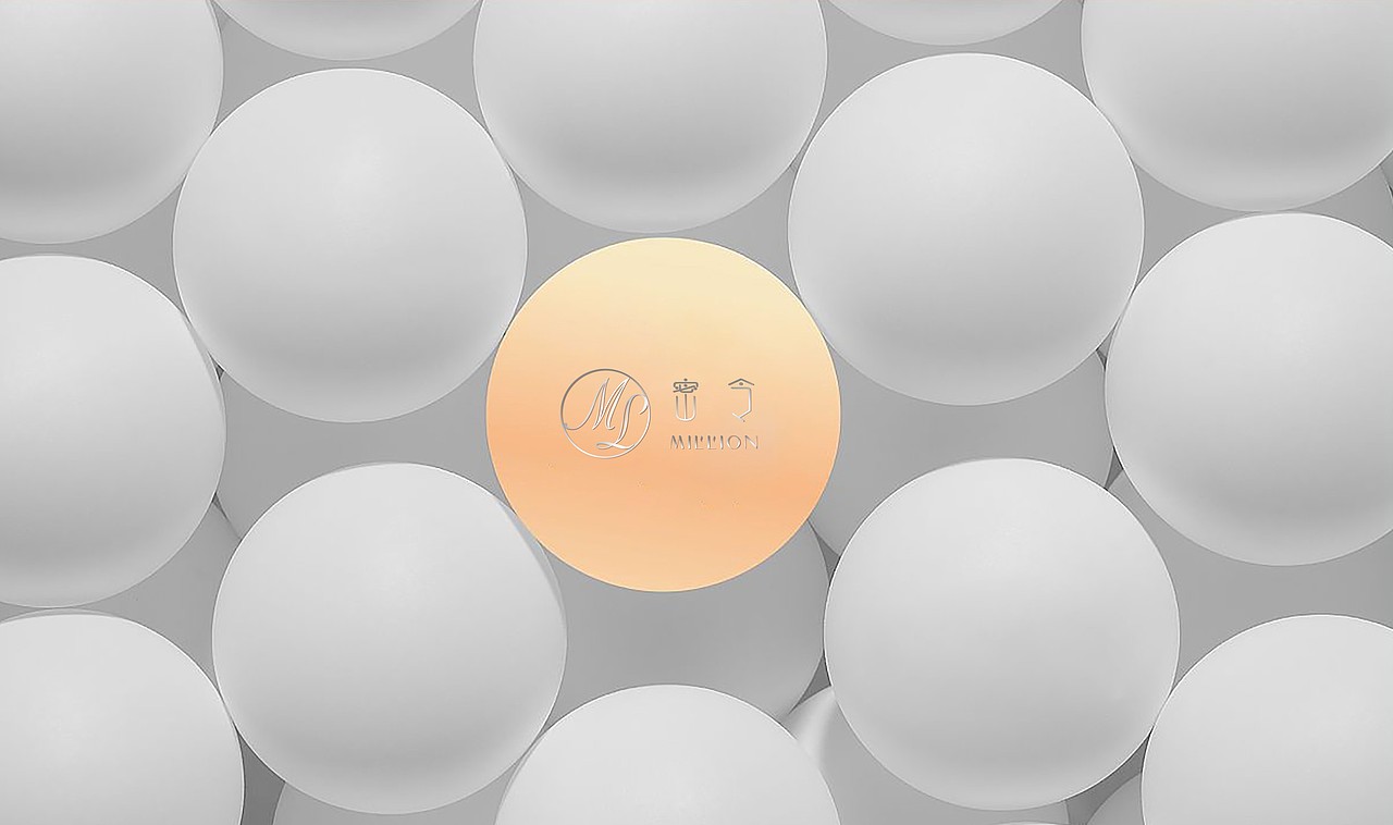 化妆品提案-logo、vi