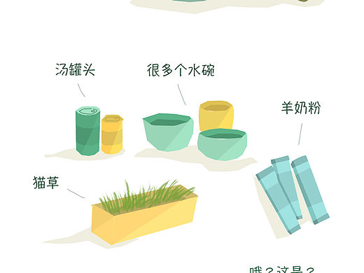 我与小猫｜等待尿团