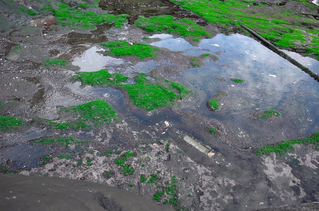 我眼里的济州岛